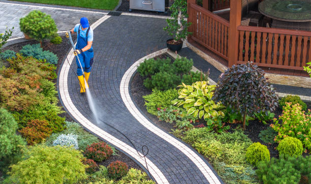 Best Roof Power Washing Services  in USA